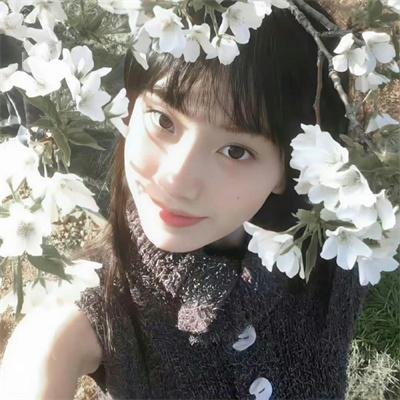 冷月伴君归